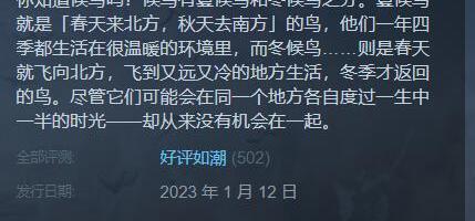 《候鸟》获得了“好评如潮”的评价
