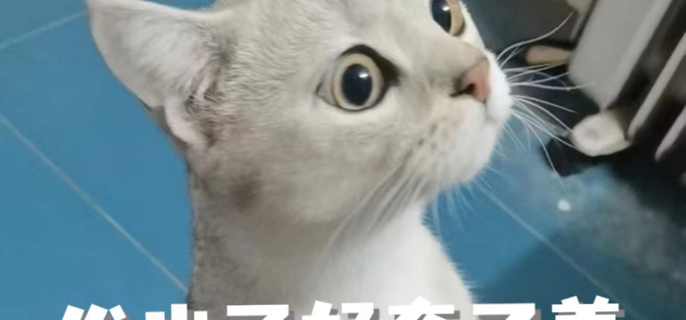 听闻key社被大款包养，羡慕，属实羡慕，有没有大款收购梨花社!呜呜。。