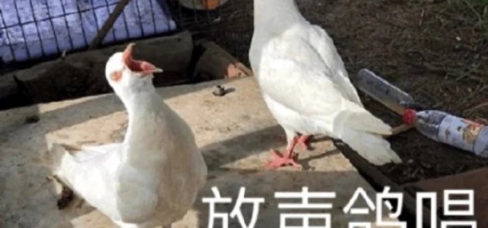 第三章（或者叫前传部分）初稿get✓