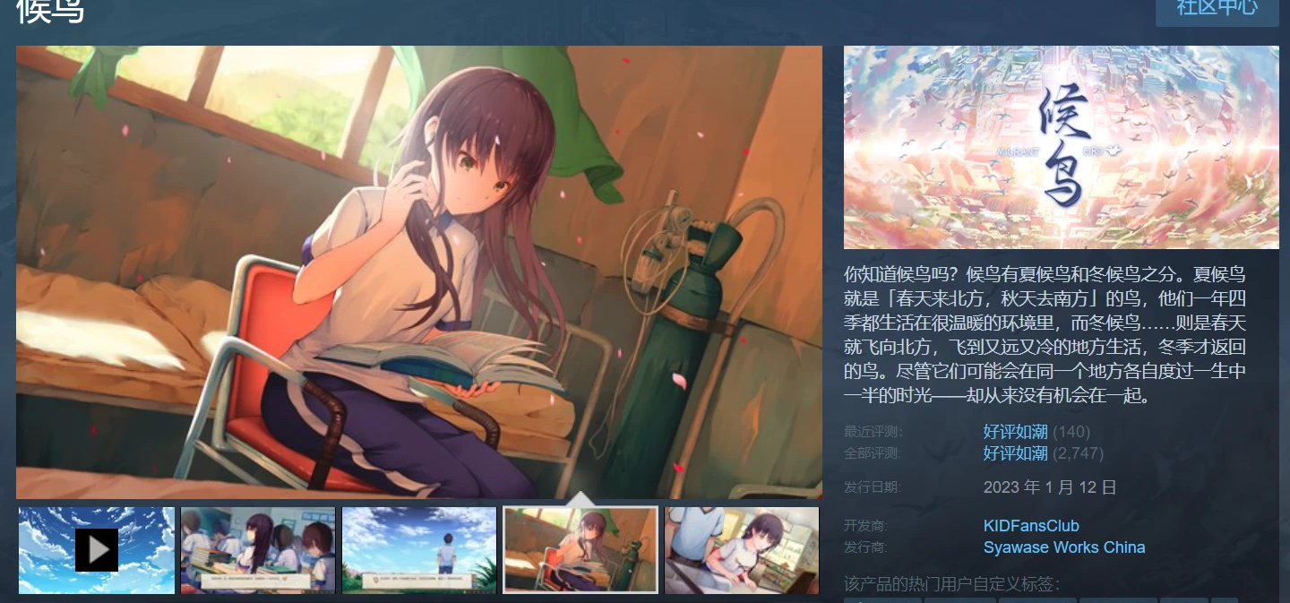 《候鸟》秋促期间五折销售