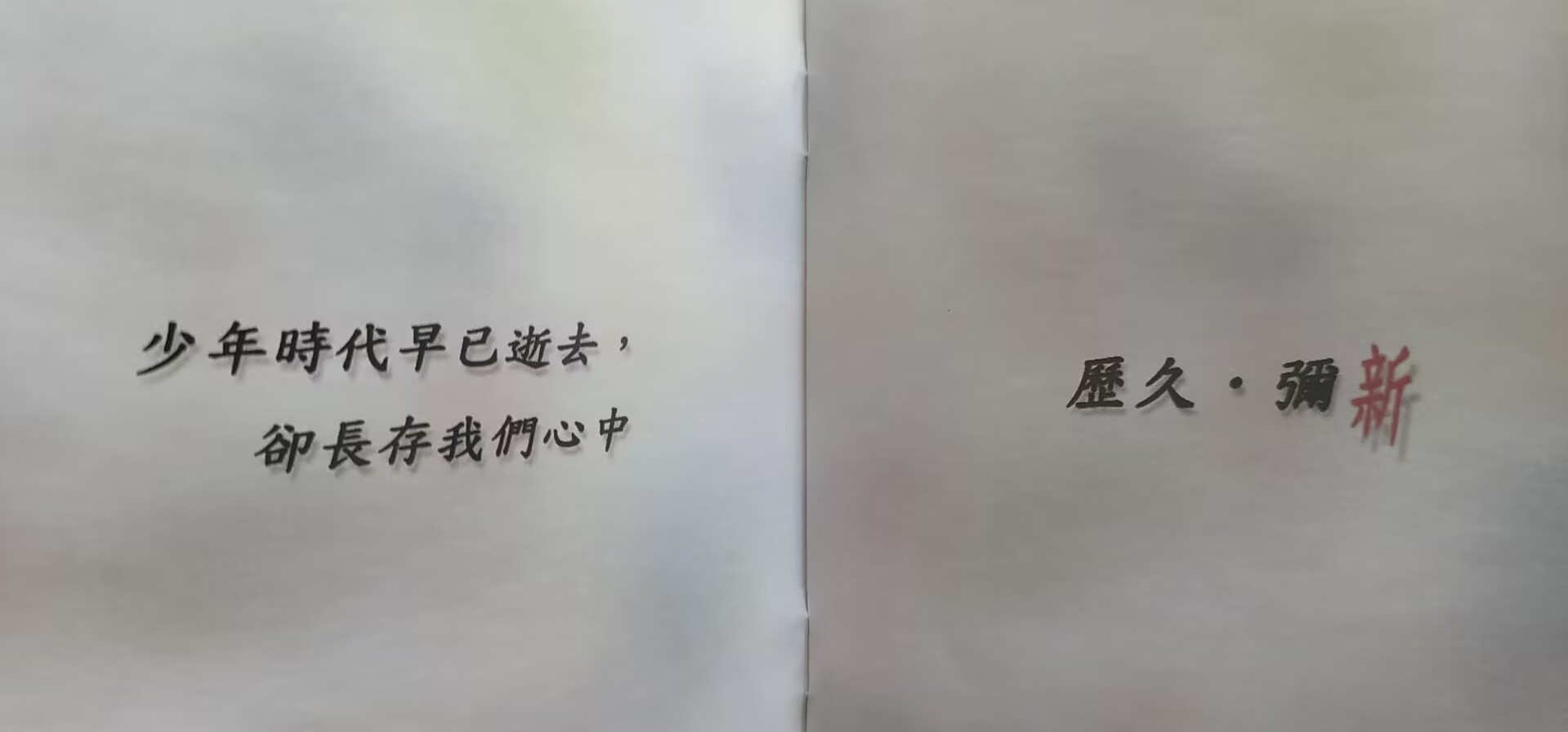 《To new》全彩印刷32P说明手册