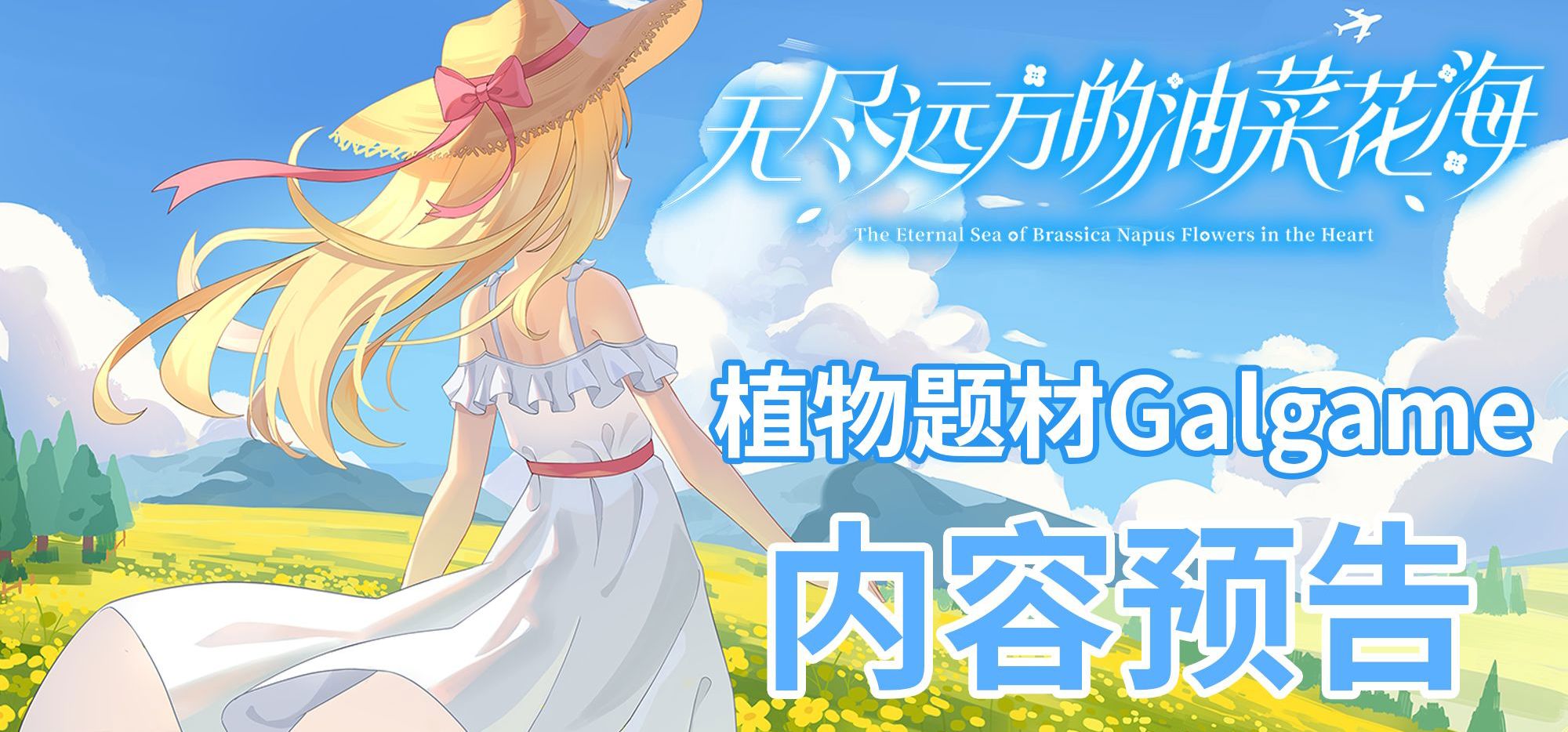 “植物文学”题材国产Galgame《无尽远方的油菜花海》游戏内容预告