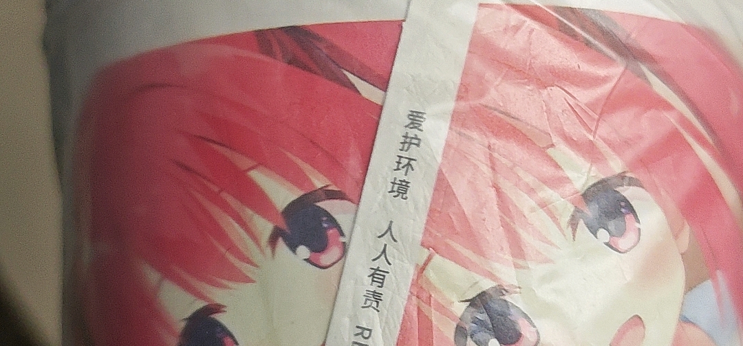 恋爱猪脚饭众筹纸碗返图