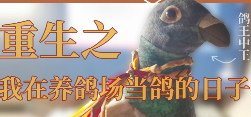 我重生了，这一世……