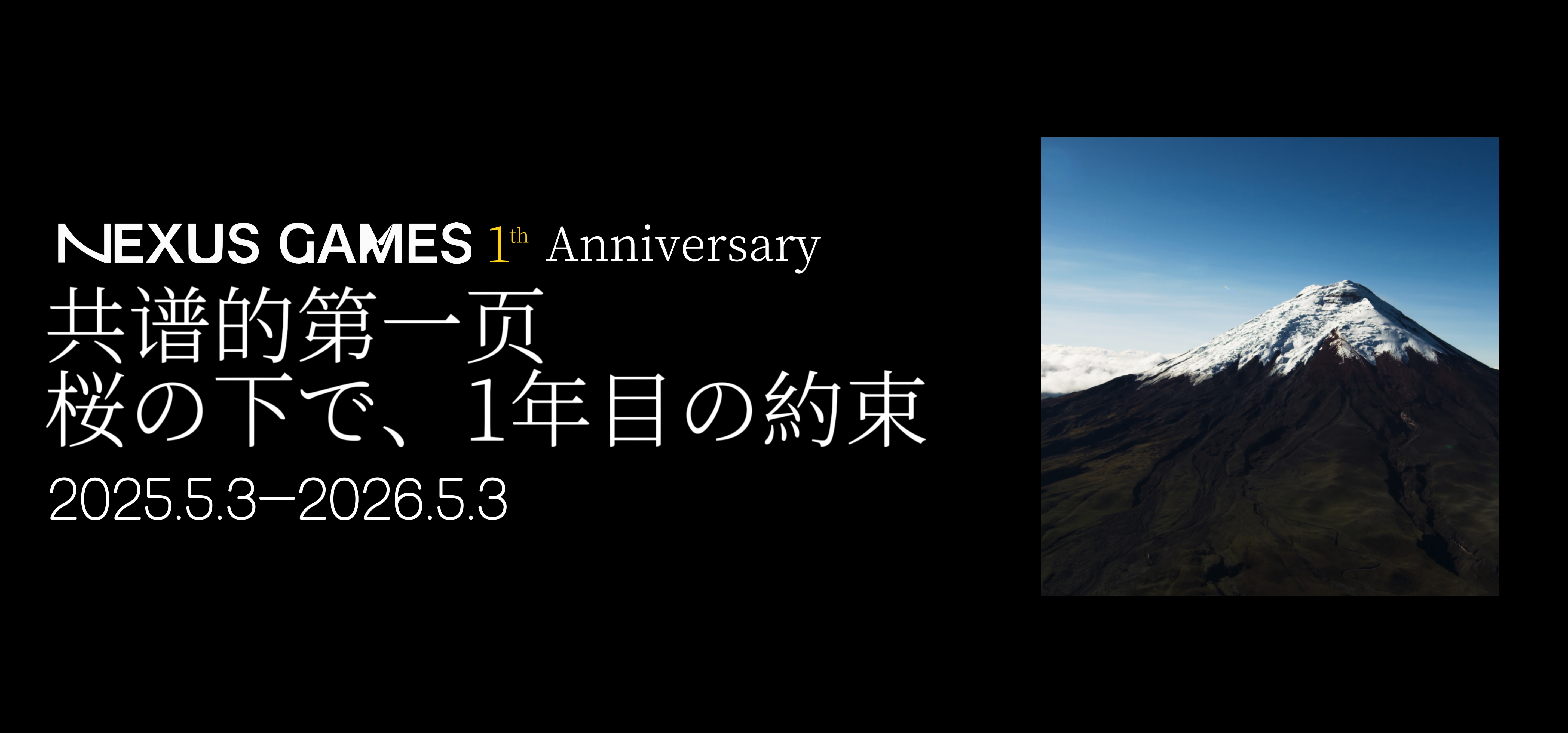 一年之际，说点想说的