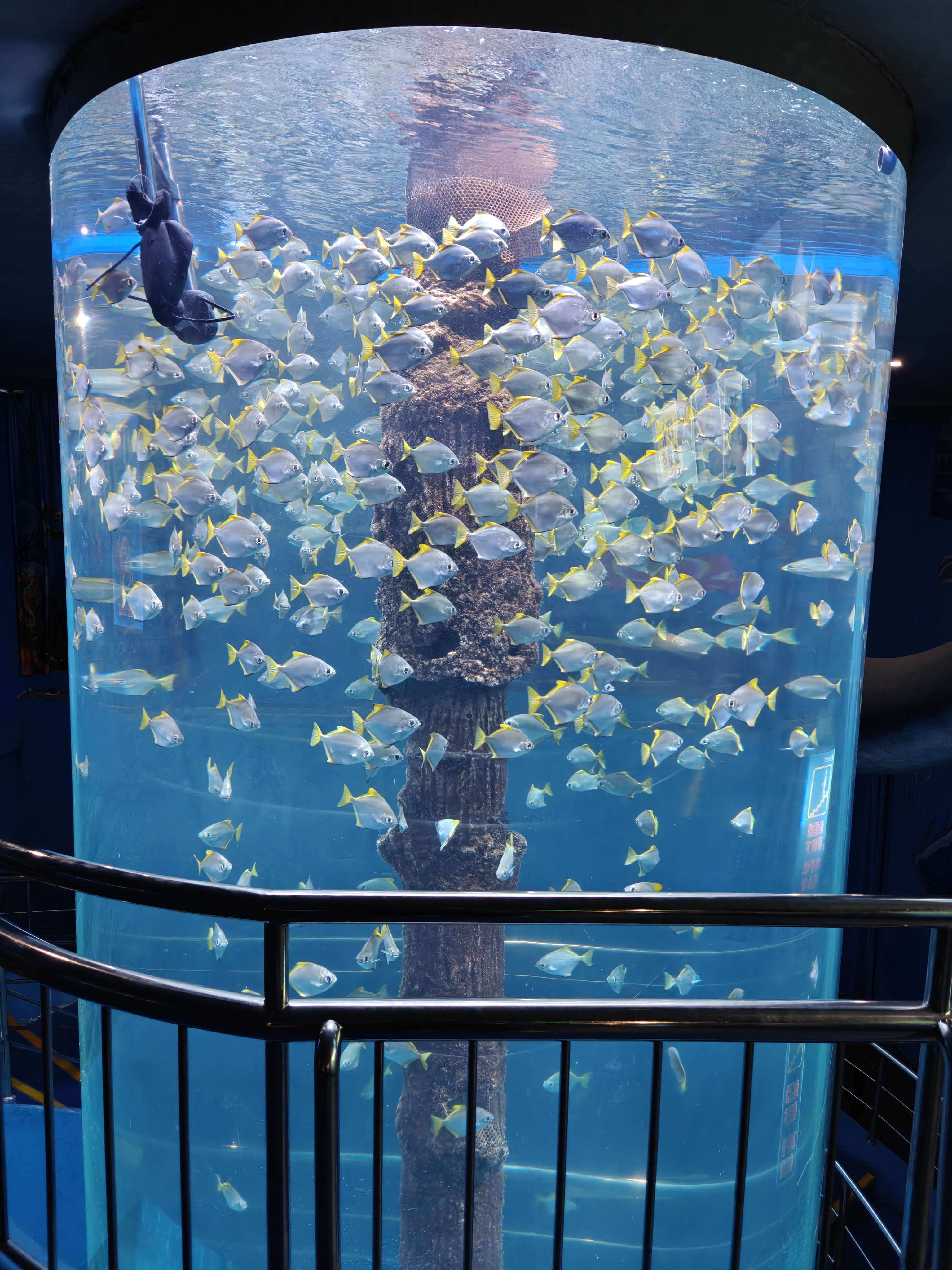 海底世界