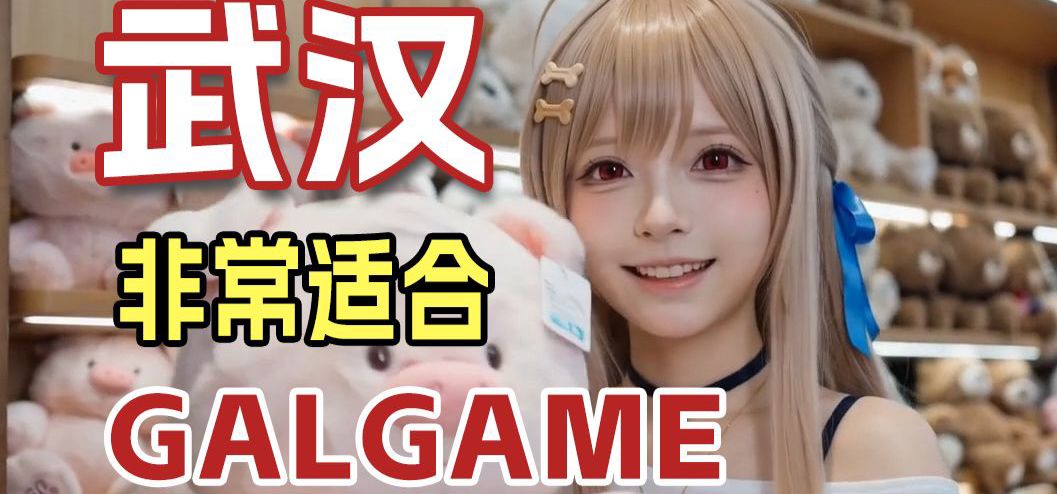 武汉！非常适合GALGAME
