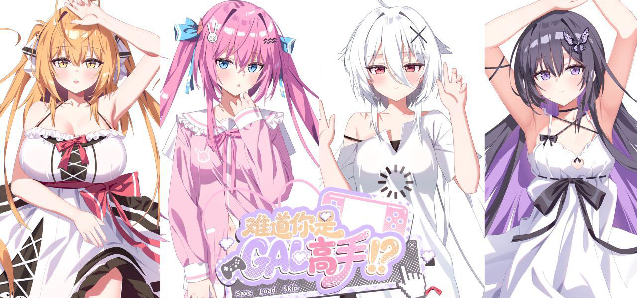 《难道你是GAL高手》采访一下大伙！4个女主，大家最喜欢谁呢