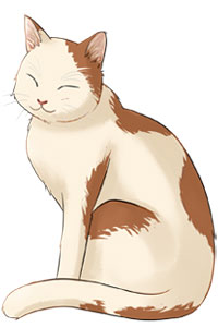 猫2-坐.jpg
